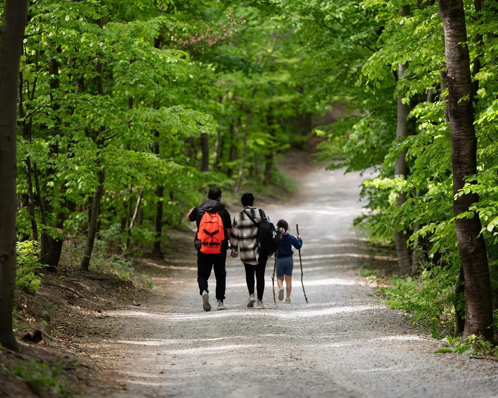Tre personer som går i skogen